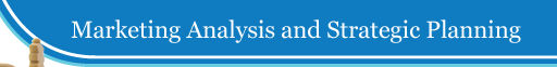 Marketing Analysis and Strategic Planning